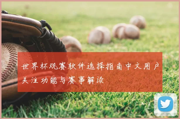 世界杯观赛软件选择指南中文用户关注功能与赛事解读