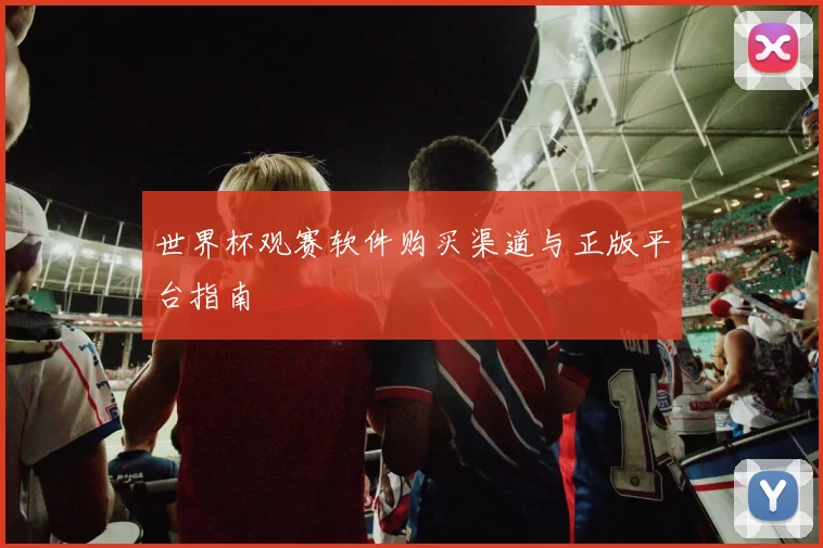 世界杯观赛软件购买渠道与正版平台指南