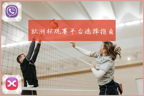 欧洲杯观赛平台选择指南